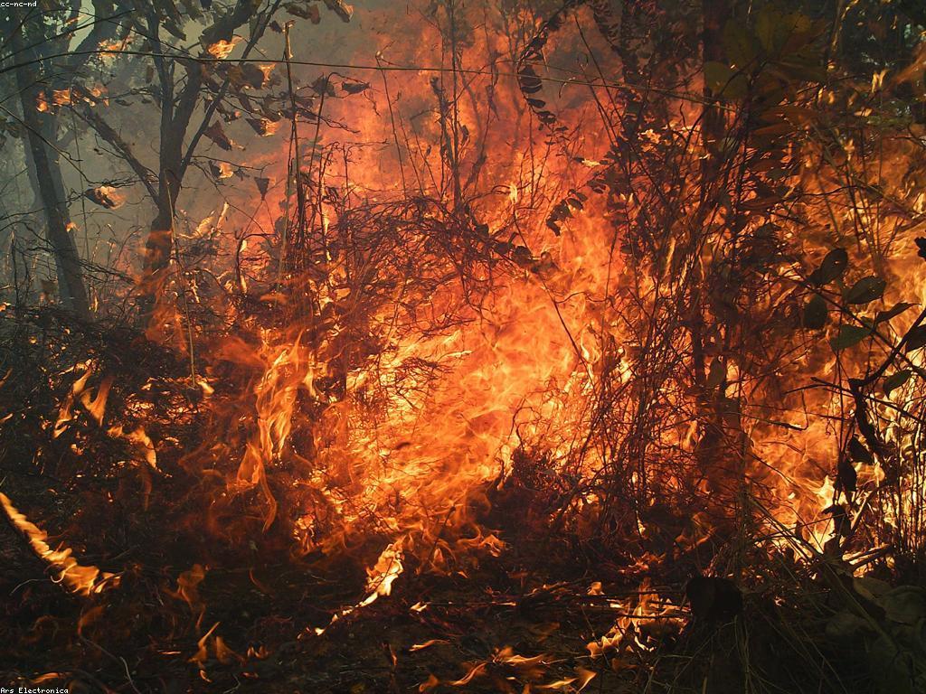 ព័ត៌មានថ្មីៗសម្រាប់ឆ្នាំ២០២៣: អ្វីដែលអាចនឹងកើតមាន