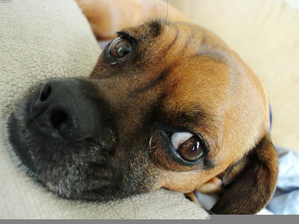 សារៈសំខាន់នៃអត្ថបទពិនិត្យក្នុងការស្រាវជ្រាវអភិបាល